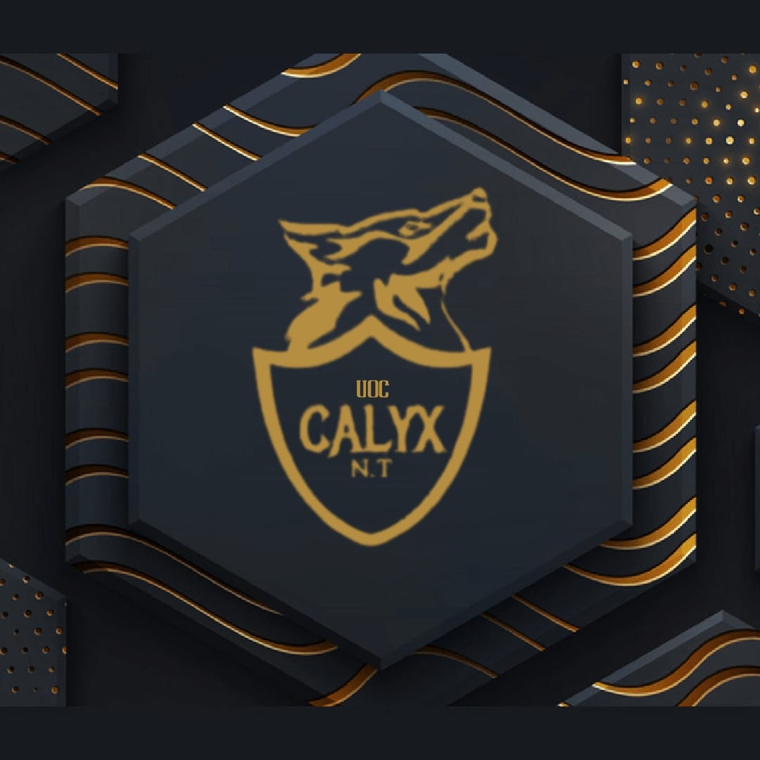 Calyx Netball Club